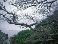 -普陀山风景区-佛顶山