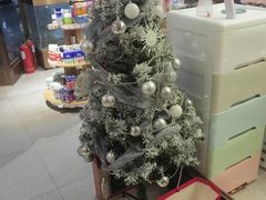 -FAELING PETS美天灵宠物(富力广场店)