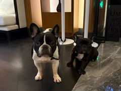 -莫干山郡安里度假酒店-桃尖中餐厅