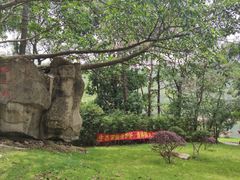 -大雁山风景区