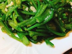 -马帮菜馆·美味野生菌