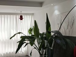 -春田皮肤管理中心品牌旗舰店