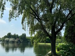 -上海共青森林公园