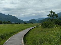 -大九湖