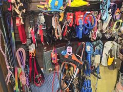 -樱桃家的宠物店(君安花园店)