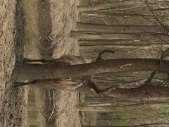 iphone_upload_pic-溱湖国家湿地公园