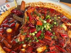 -青城甲(青城山店)