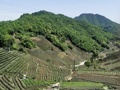 -午潮山国家森林公园