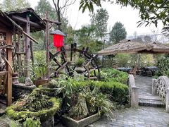 -青城甲(青城山店)