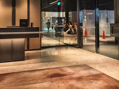 -新加坡乌节希尔顿酒店 (SG Clean)