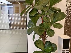 -漕河泾街道图书馆(漕河泾社区文化活动中心店)