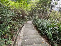 -广州市帽峰山景区
