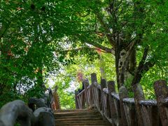 -光雾山旅游景区