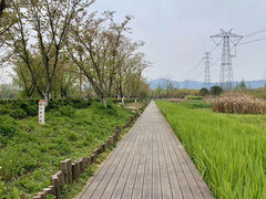 -长田漾湿地公园