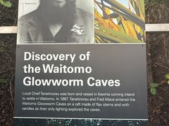 -怀托摩萤火虫洞