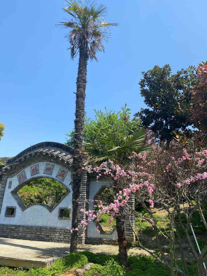 桃缘山庄-"明知道桃花已谢,还是要来阳山走一遭.扫墓.