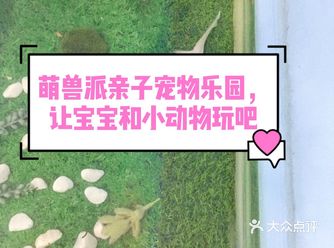 萌兽派亲子宠物乐园，让宝宝和小动物玩吧