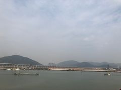 -芒洲湿地公园