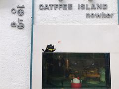 -喵屿·大理花园猫咖