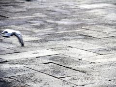 -圣马尔谷圣殿宗主教座堂