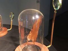 -中国美术学院-美术馆