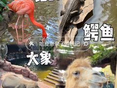 -长鹿旅游休博园