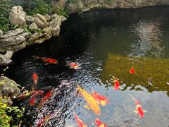 -鲤院·新中式美学·庭院餐厅(夫子庙店)