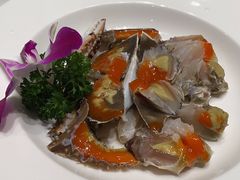 -阿毛饭店·正宗宁波菜(儿童公园旗舰店)