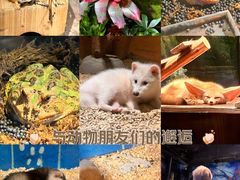 -绿色星球动物主题公园