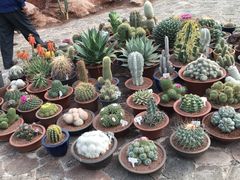 -南通洲际绿博园