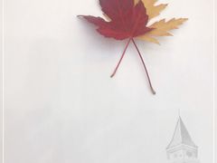 -北京宽沟会议中心