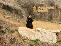 -杭州野生动物世界