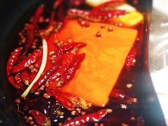 -锅说大脸毛肚重庆老火锅(佐阾店)