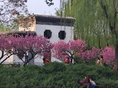 -团结湖公园