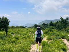 -北京鹫峰国家森林公园
