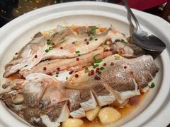 -单家老院·院子里的青岛菜(沙子口店)