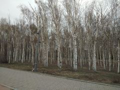 -长春市南湖公园