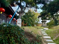 -龙华寺