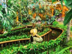 -正佳雨林生态植物园