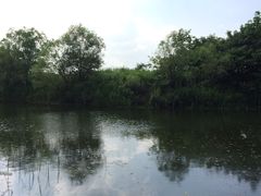 -新江湾城公园