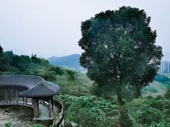 -黄贤森林公园