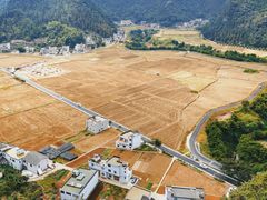 -万峰林风景区