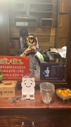 点击看大图 -MONE美发沙龙