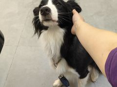 -胖东瓜·浏阳菜馆(火车站店)
