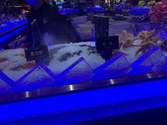 -九月海·海鲜自助(世纪东方店)