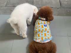 -瑞派康怡24h宠物医院·犬猫医疗中心·微创绝育(瑞景分院)