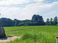 -嘉北郊野公园