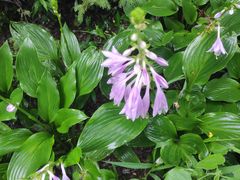 -哈尔滨师范大学(松北校区)