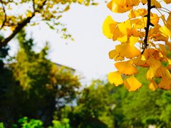 -长兴八都岕景区