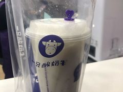 -一只酸奶牛(八一路店)